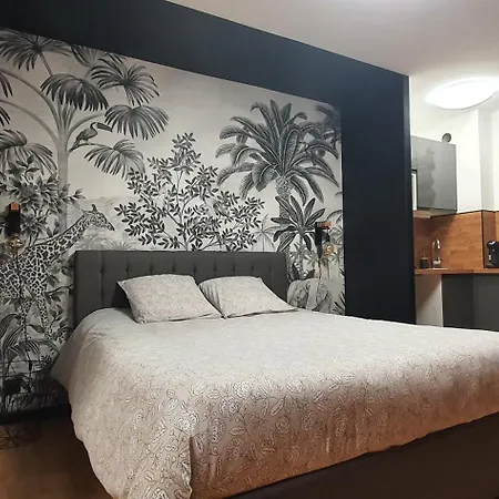 Appartement Climatisé Place De Jaude Garage Balcon Tv Wifi *